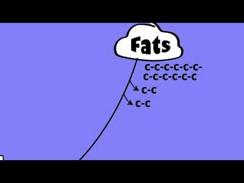 Inborn Errors of Metabolism