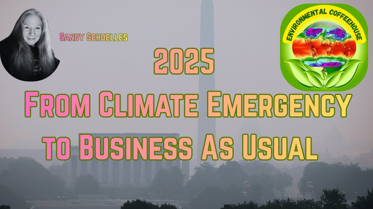 2025: From Climate Emergency to Business as Usual