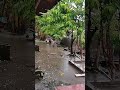 Raindrops to Calm Stress and Make Sleeping Easier 🌧️😌