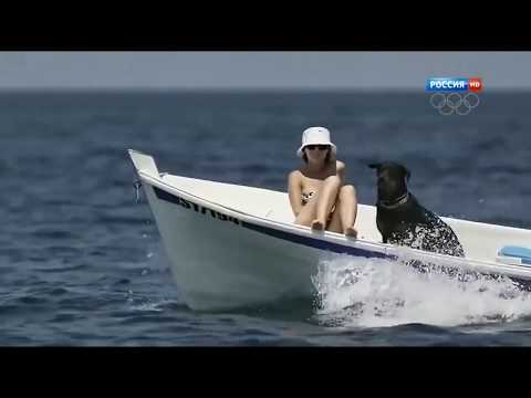 Видео: Великая тайна воды. Фильм.