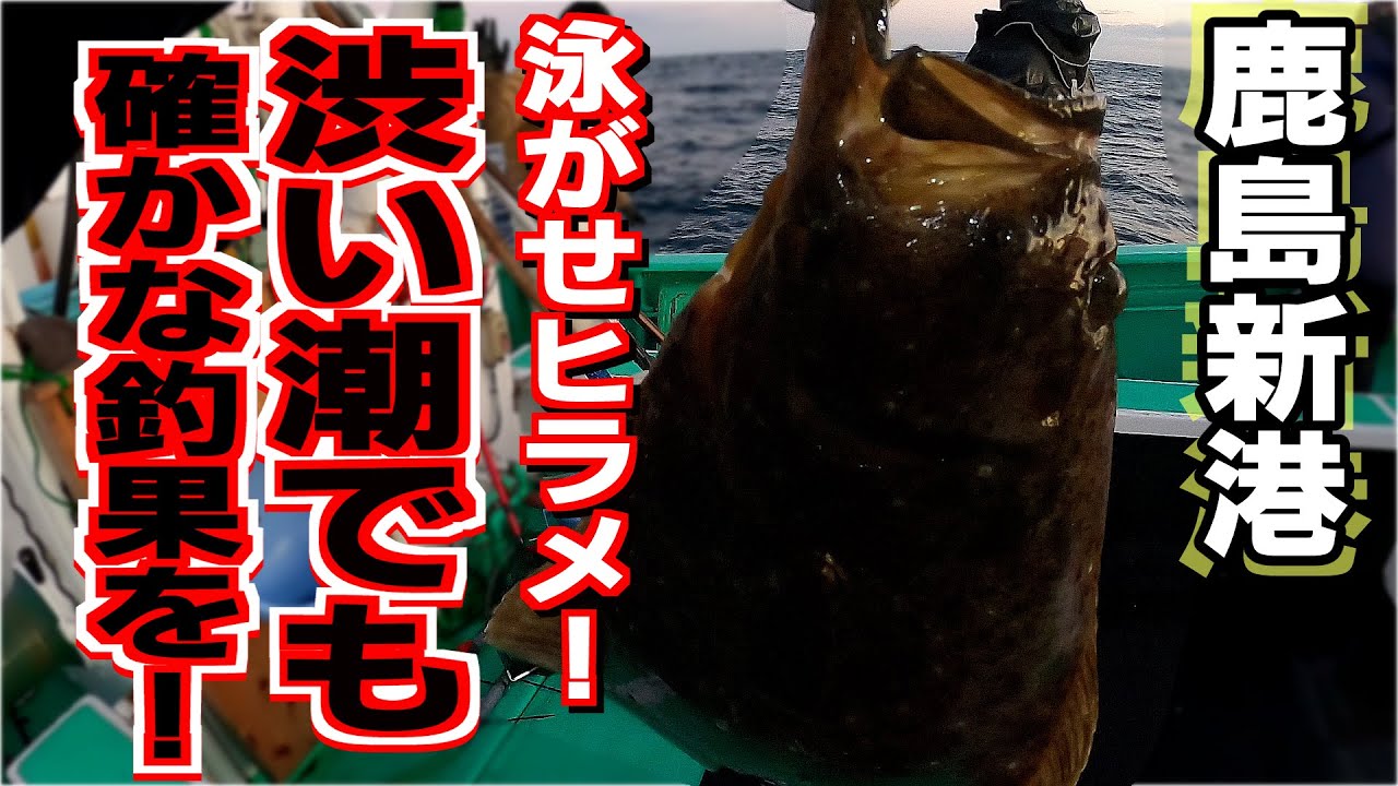 【鹿島新港】真冬の泳がせヒラメ！鹿島新港で渋い潮でも確かな釣果を！