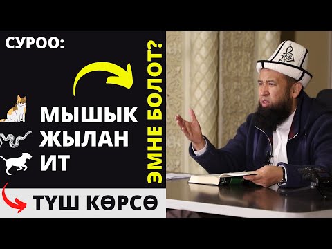 Video: Тоту куш деген эмнени билдирет?