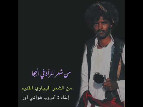 من الشعر البجاوي الخالد