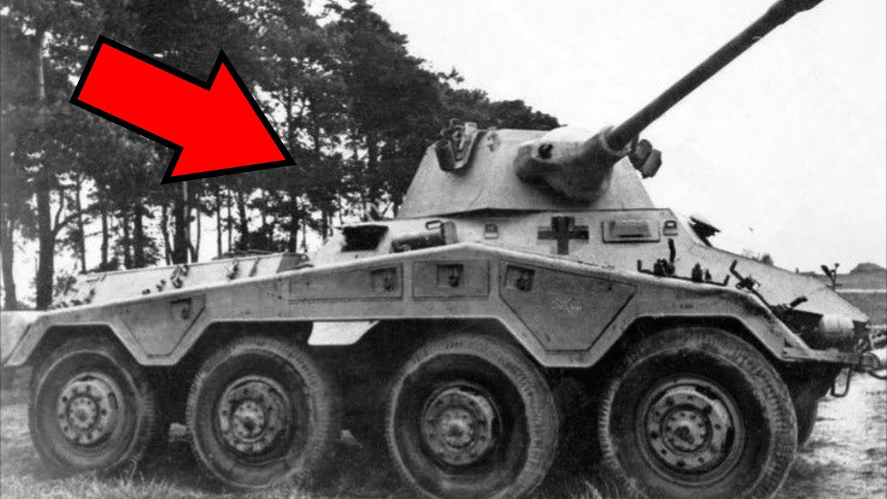 Sie lachten über die „Puma“ – bis sie dort auftauchte, wo sich sonst niemand hinwagte.