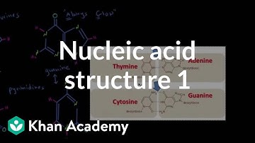 Nucleic acid structure 1 | Chemical processes | MCAT | Khan Academy