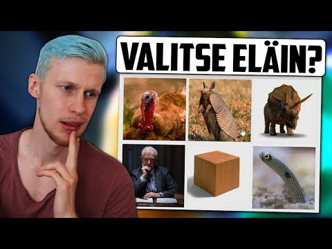 Video: Mikä on matkatila Snapchatissa?