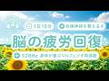 【528Hz・脳疲労回復】ソルフェジオ周波数を用いた自律神経を整える音楽。睡眠導入、ストレス緩和、疲労回復　＃脳の疲れを取る音楽＃自律神経を整える音楽　＃ソルフェジオ周波数