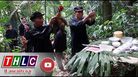 Bảo tồn Lễ cúng rừng của người Nùng ở Mường Khương| THLC
