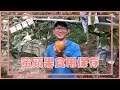 無毒農小知識｜蜜蘋果食用保存 feat.甜莃果園