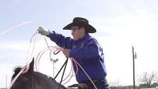 The Switch BLADE Team Roping trainer