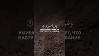 Сура Аль-Кыяма | Аяты 26-28 #люхайдан #коран #чтениекорана