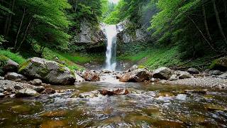Relaxing River Sound & Gentle Atmosphere for Yoga, Study and Spa