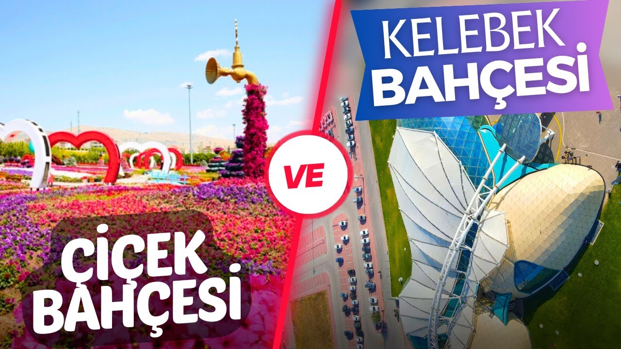 Kelebekler Vadisi Çiçek Bahçesi ve TROPİKAL KELEBEK BAHÇESİ