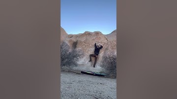 Boxer Problem (V2) - Joshua Tree