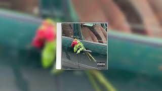 (FREEE FOR PROFIT) Cavetown, Beabadoobee, Sad Ukulele Type Beat - is it wrong to feel too much?