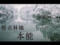 本能/めいちゃん