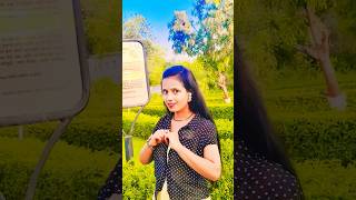 "That 80s energy! 🔥👑Par usme heera jada tha...