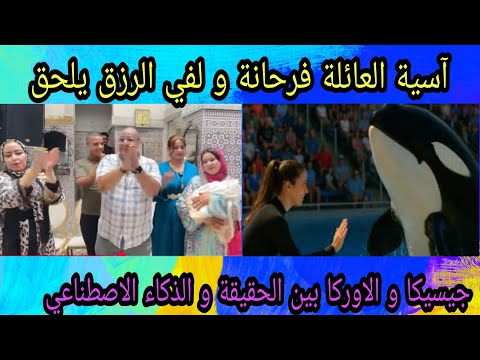 اسية لفي الرزق يلحق العائلة مجموعة كلشي فرحان قصة جيسيكا والاوركا بين الحقيقة و الذكاء الاصطاعي