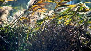 My pictures in Korea(ver-01) My pictures in Korea(ver-01)