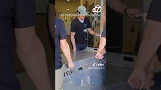 Bear cub siblings reunited at CA wildlife center