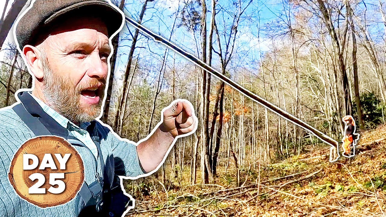 building-a-homestead-in-100-days-day-25-youtube