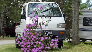 97 Subaru Sambar - GONE!! by POPUP'S PLAYGROUND 253 views 1 year ago 3 minutes, 59 seconds