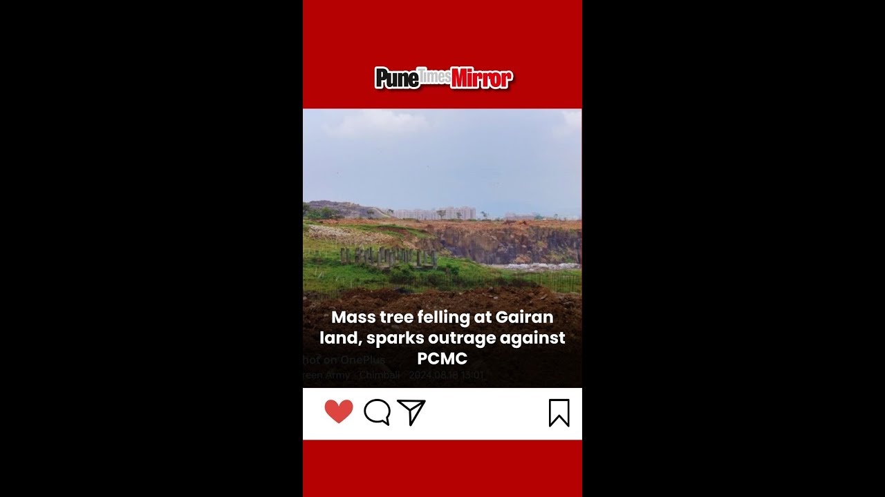 Mass tree felling at Gairan land, sparks outrage against PCMC