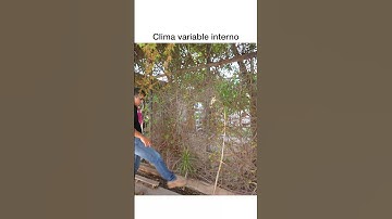 Clima Variable Interno