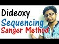 Sanger sequencing method - dideoxy sequencing of DNA