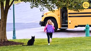 Rescued Cat Drops Friend at the School Bus Every Day… And Nobody Expected Why