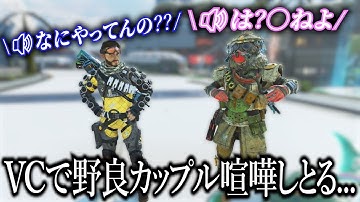 野良VCでイチャイチャしながら喧嘩してるカップル【APEX】