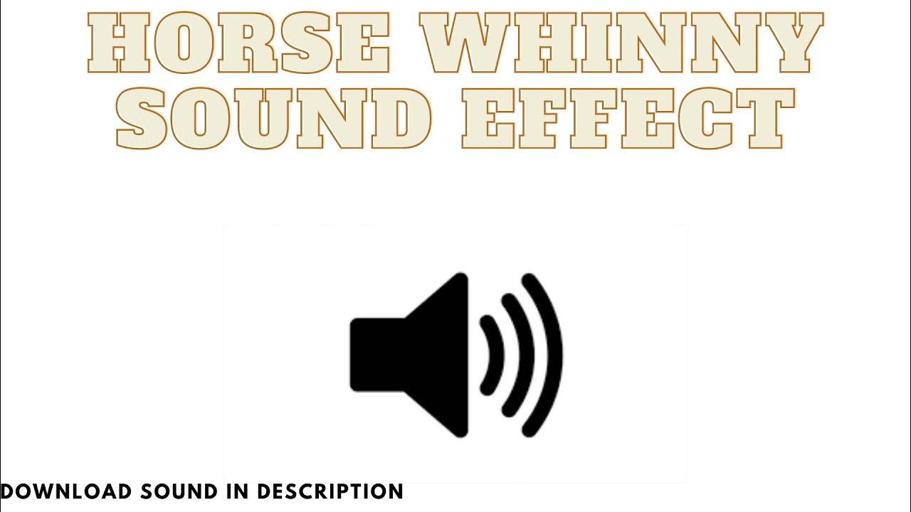 Horse Whinny Sound Effect YouTube