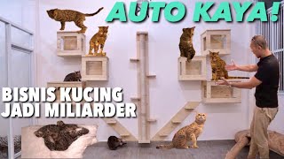 SURGANYA KUCING BENGAL, KEREN BGT SUMPAH! THE GOLDEN FAMILY