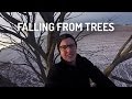 VLOG #2 - Falling from trees