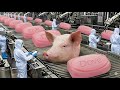 How Dove Soap Is Actually Made | Full Factory Production Process Revealed