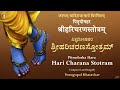 Hari charana stotram  pitru dosha hara  chintayami  with lyrics