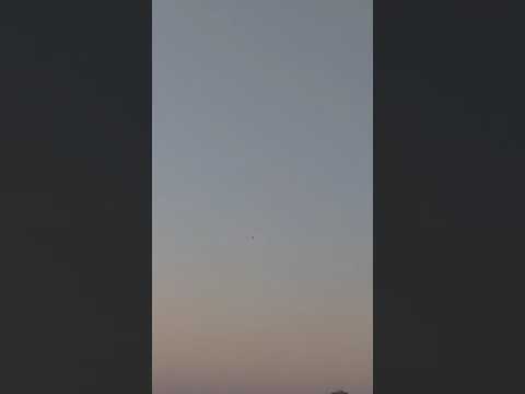 الطاير الصغير