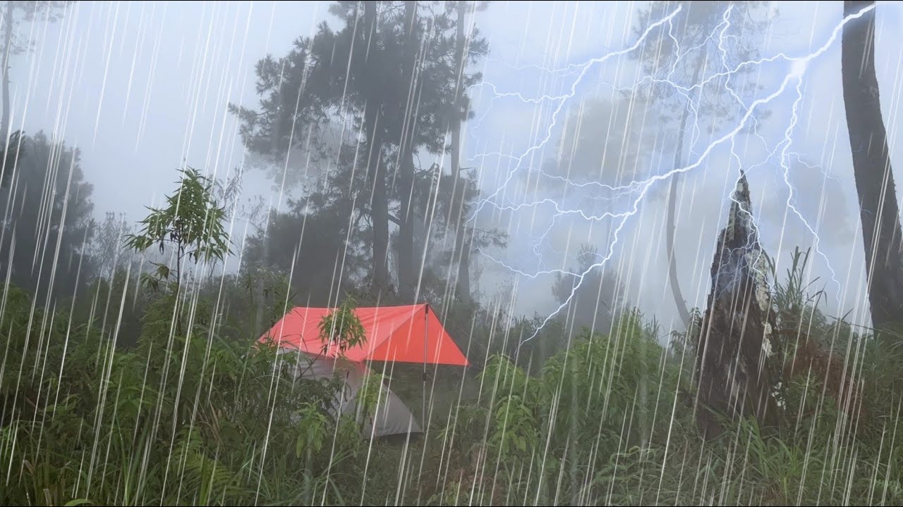 SOLO CAMPING HEAVY RAIN AND THUNDERSTORM - RELAXING RAIN SOUNDS - CAMPING ASMR