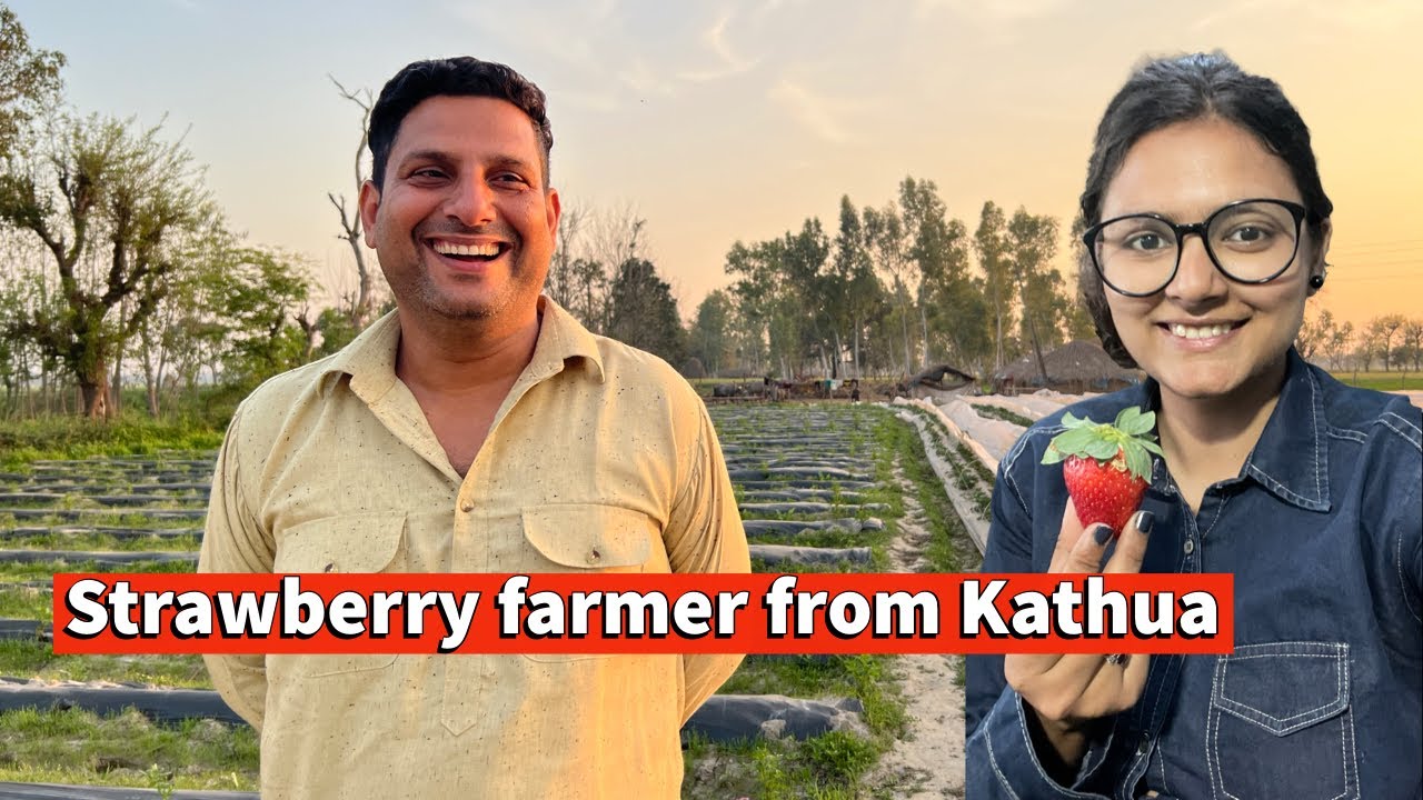 Meet Strawberry farmer from Kathua Dheeraj Kumar!
