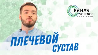 Плечевой сустав