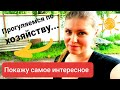 Все самое интересное на нашем участке. Обзор июль 2020