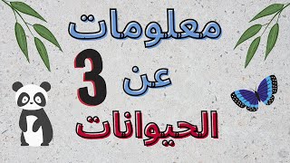 معلومات عن الحيوانات 3