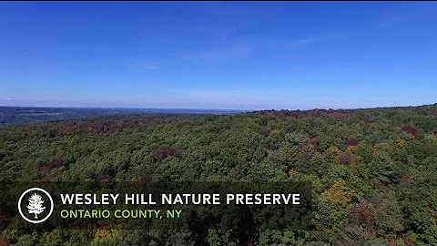Wesley Hill Nature Preserve by Honeoye Lake, NY (F...