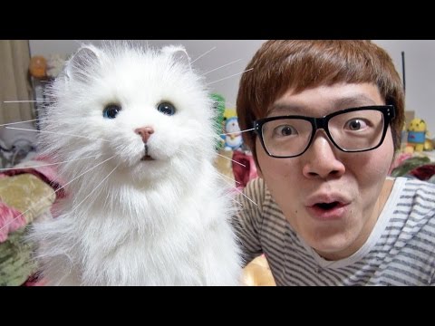 ロボット猫買ってみた Youtube