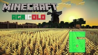 Minecraft agricolo - Mica male sta baracca #6