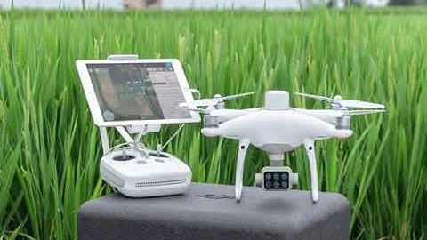 Crops Passcode - Multispectral Technology- DJI P4M Review