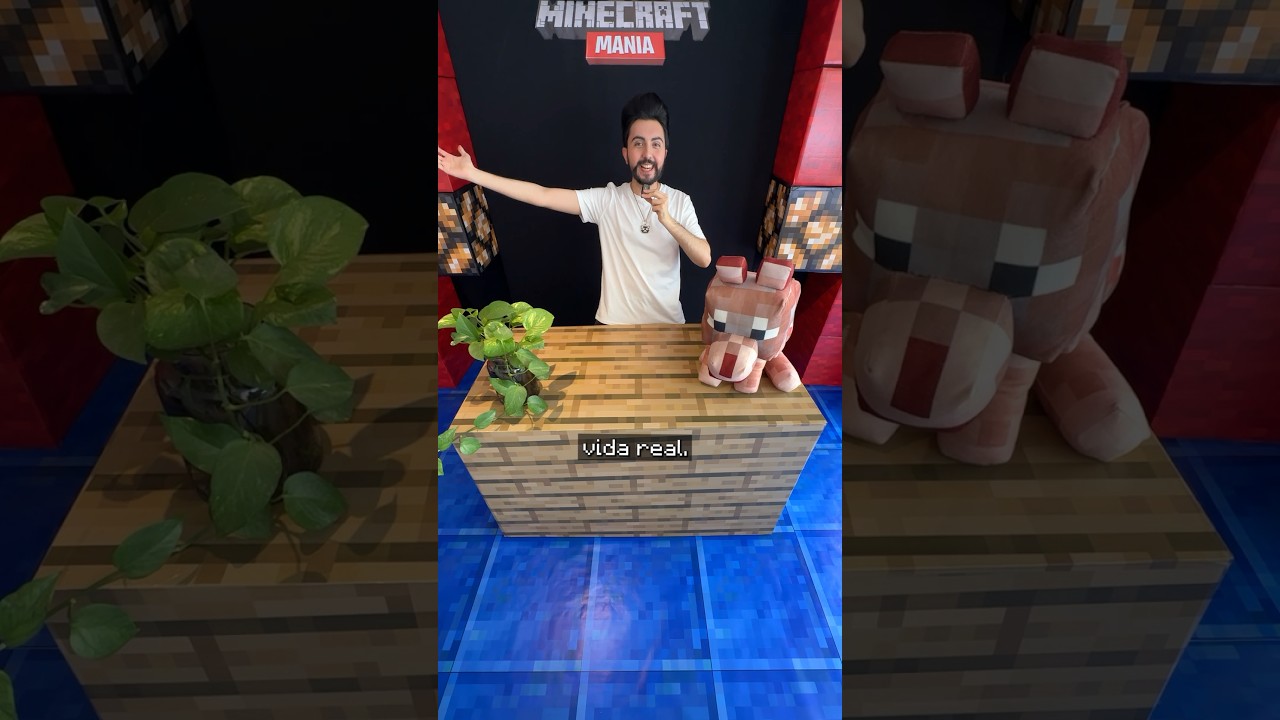 Hice #MINECRAFT MANIA real