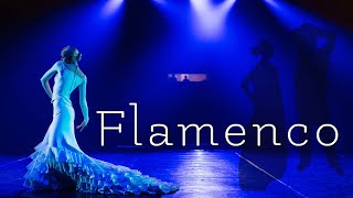 Фламенко