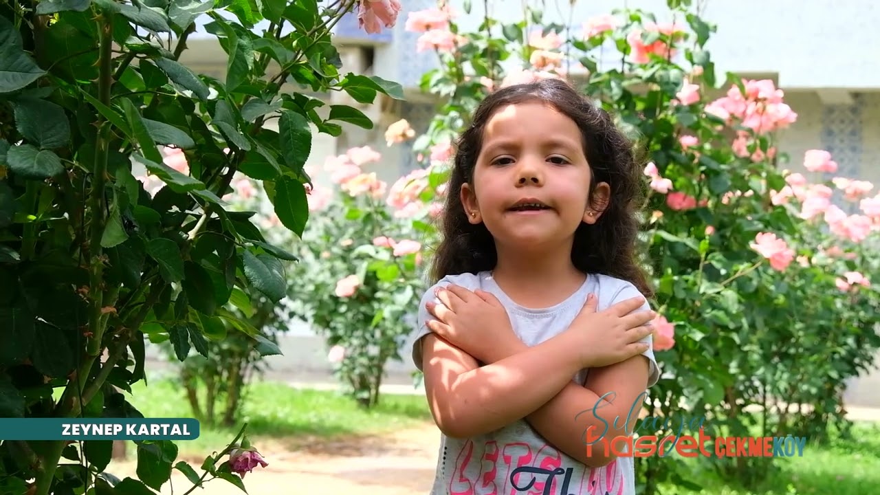 SİNOP BOYABAT TEKKE KÖYÜ