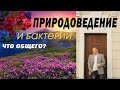 Природоведение и Мир бактерий | Знакомьтесь